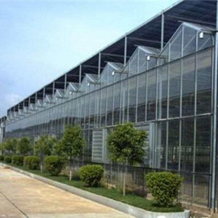 花卉温室建造 樱桃种植温室-大棚温室施工