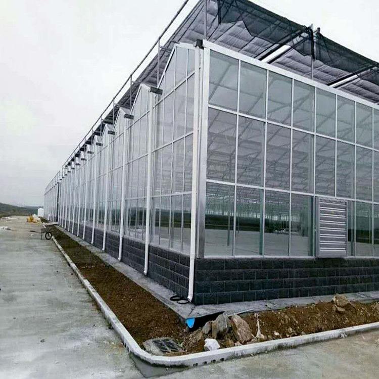 阳光温室工程 连栋玻璃温室-玻璃温室安装