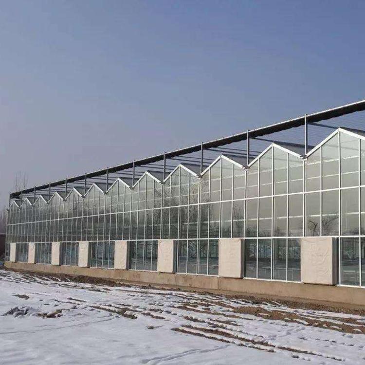 东北温室大棚 建造大棚-玻璃温室工程