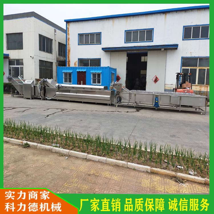 全自动花椒专用清洗机  新鲜花椒清洗杀青流水线 花椒生产线全套加工设备 全自动麻椒漂烫护色机