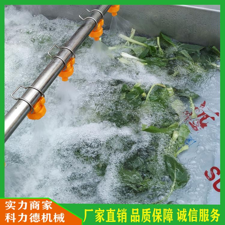 大型包菜木耳清洗流水线 花椒杀青灭酶清洗机 银耳气泡清洗机 连续式木耳清洗机