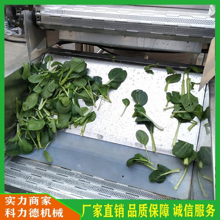 牡蛎海鲜去泥清洗机 菌类连续式清洗流水线 果蔬气泡清洗机 蔬菜杀青流水线 鼓泡喷淋蔬菜清洗机