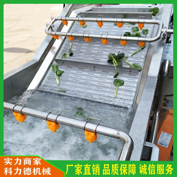 多功能辣椒清洗设备 脱水松茸加工流水线 全自动蘑菇清洗机 菌类清洗漂烫冷却生产线生产厂家