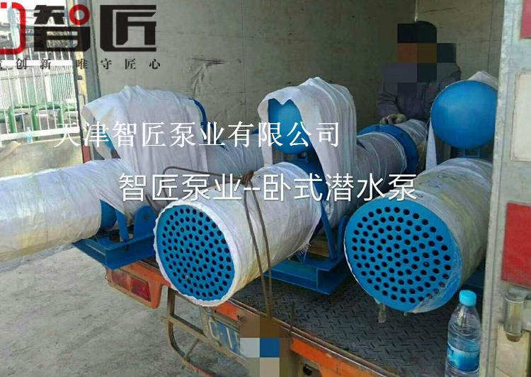 娄底卧式潜水泵###产品--天津智匠泵业