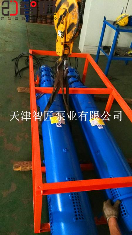 迪庆水库潜水泵产品性能--天津智匠泵业