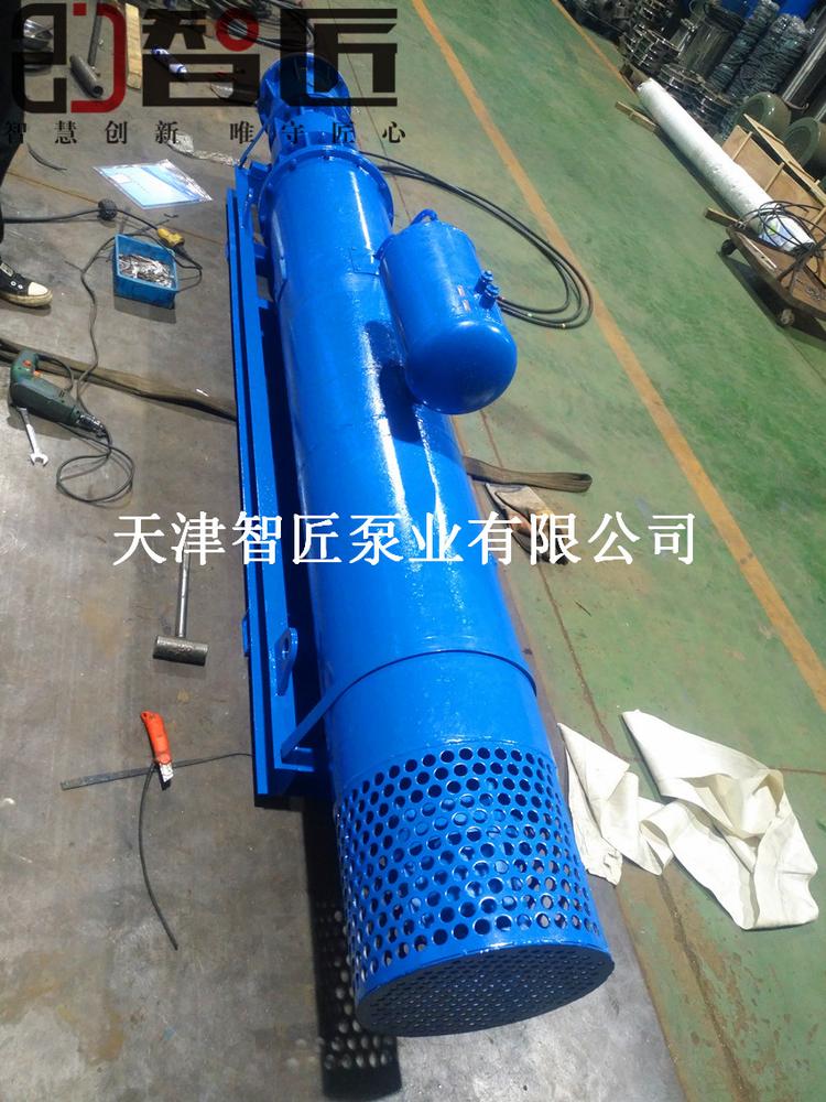 南通浮筒式潜水泵优惠促销--天津智匠泵业