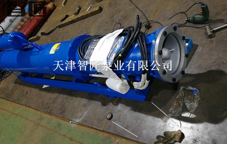 永州河道潜水泵产品参数--天津智匠泵业