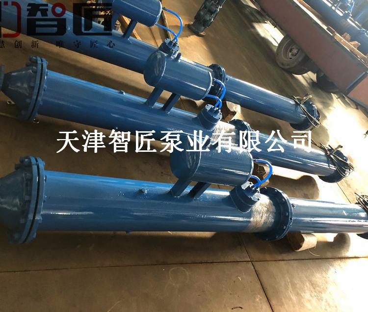 大理浮筒式潜水泵优惠促销--天津智匠泵业