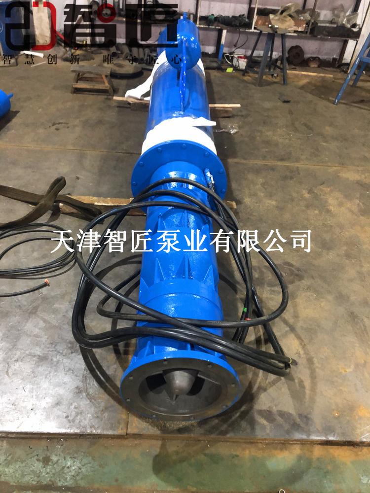 怒江水库潜水泵产品性能--天津智匠泵业