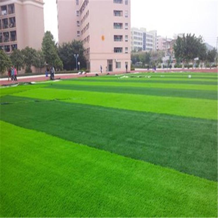 草坪 草坪报价 各种草坪种子 江瑞园艺草坪直供