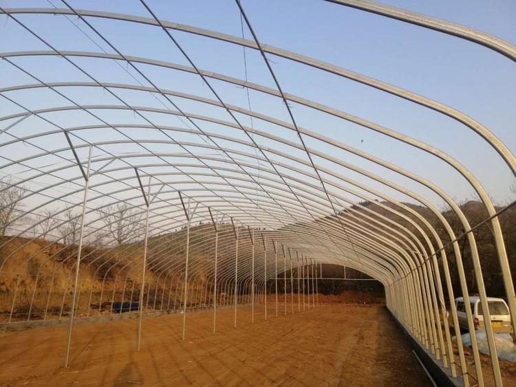 河南养殖温室大棚性价比高值得信赖