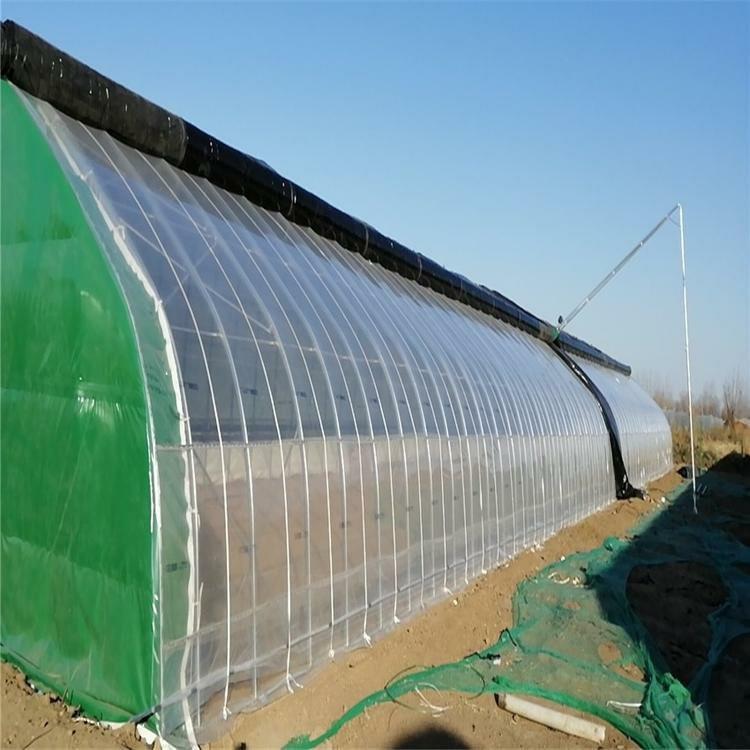 冬暖式日光温室大棚 钢结构日光大棚 抗雪压力大棚骨架 欢迎咨询鋆成兴达