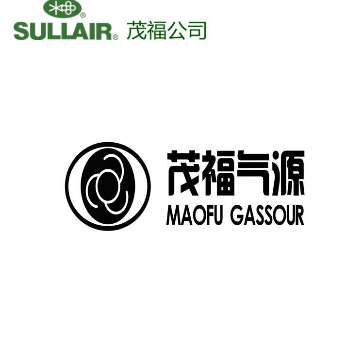 南通寿力空压机温控阀维修包02250105-553