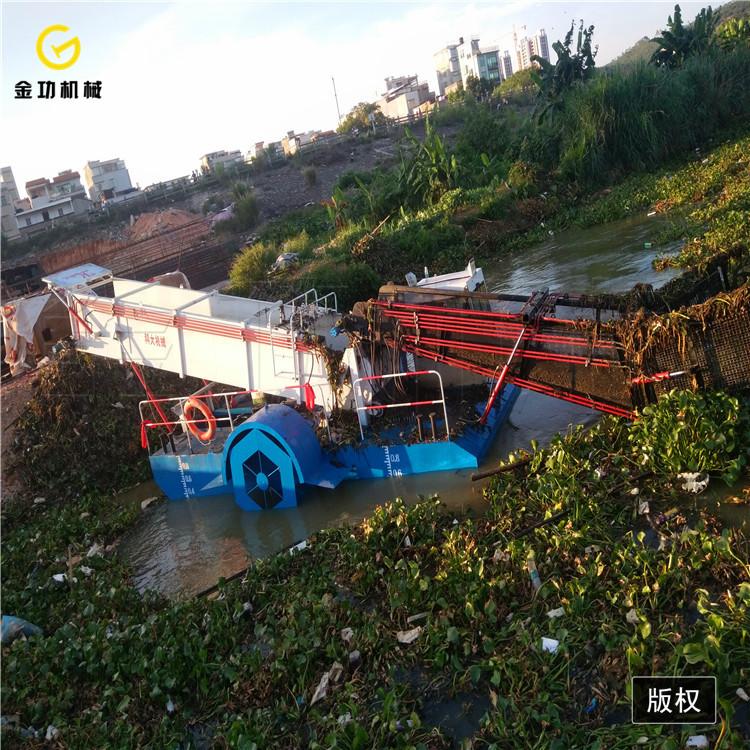 割草船生产厂家   水葫芦打捞船