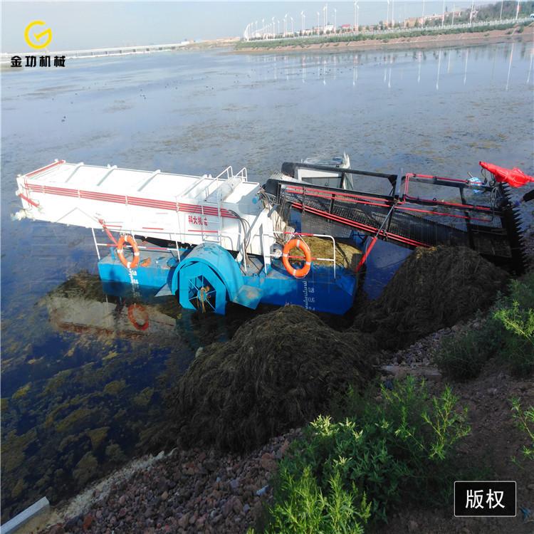 水葫芦打捞船  全自动割草船  保洁船