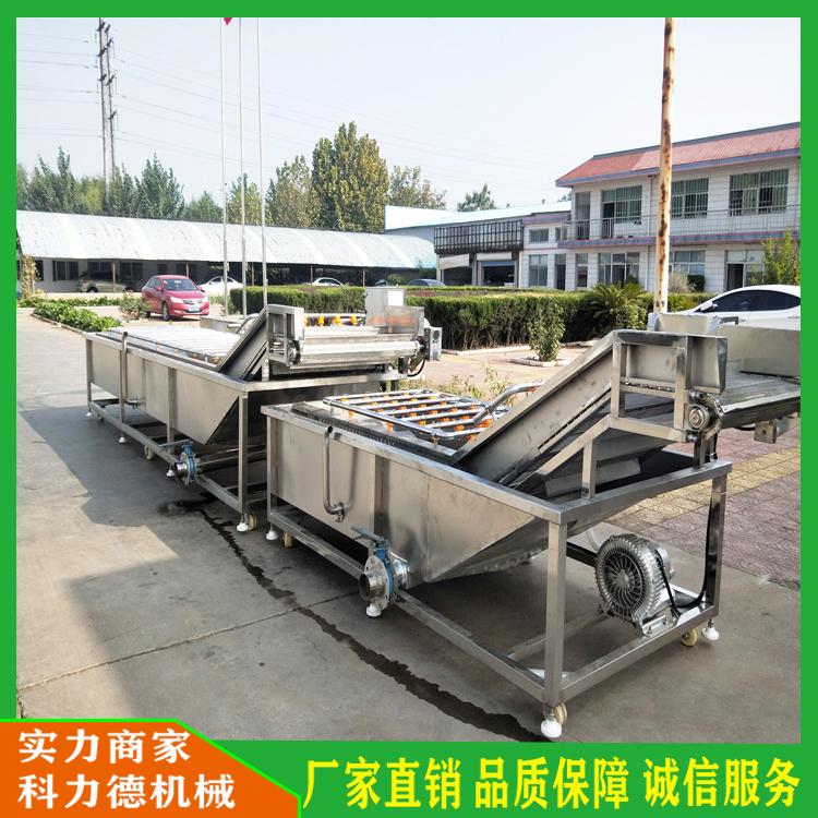花生带壳清洗设备 叶颈类蔬菜气泡清洗机 花生毛辊清洗机 多功能洗果机花生酱加工设备