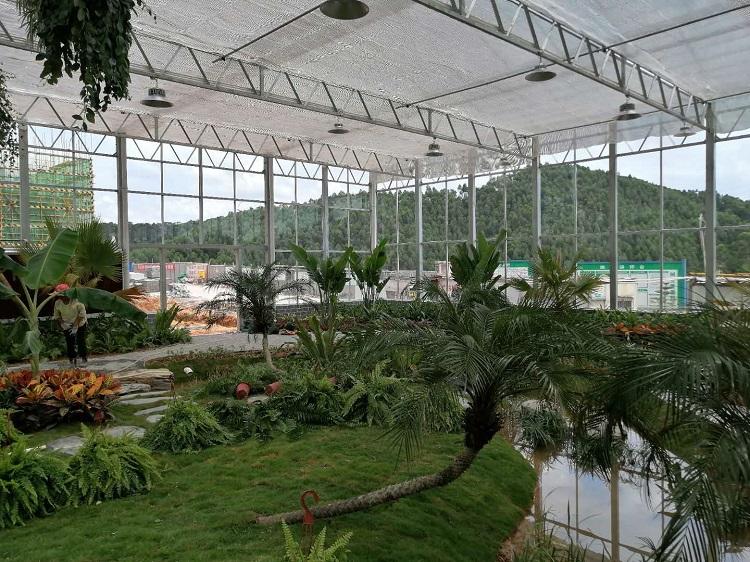新型连栋温室大棚设计 连栋智能温室大棚 支持定制 阳凯温室
