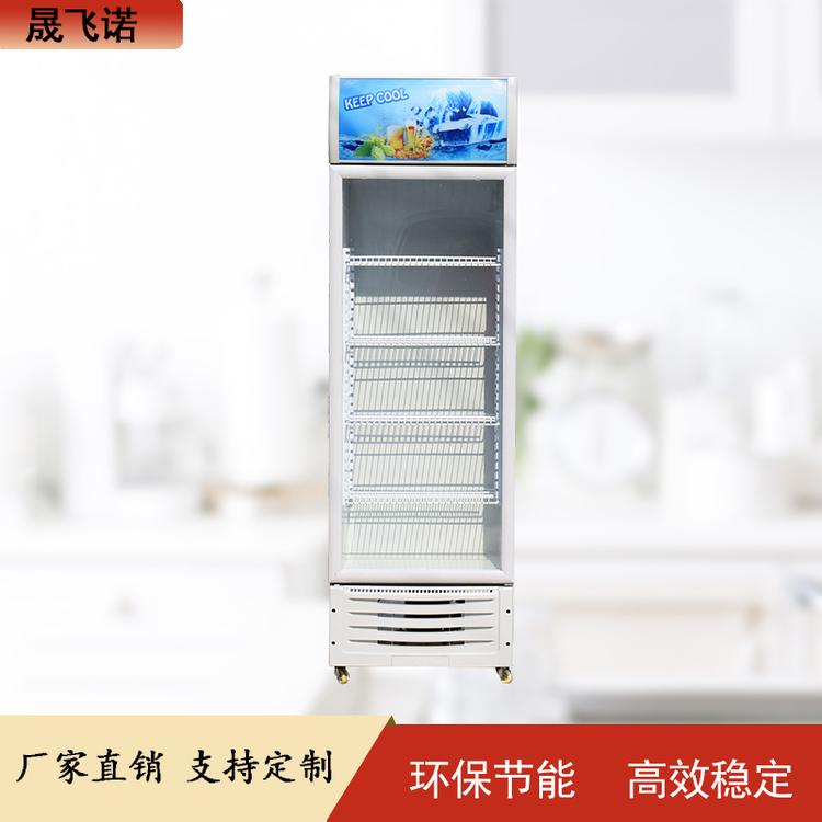单门啤酒柜节能啤酒柜饮料冷藏保鲜柜大容量立式冷藏展示柜