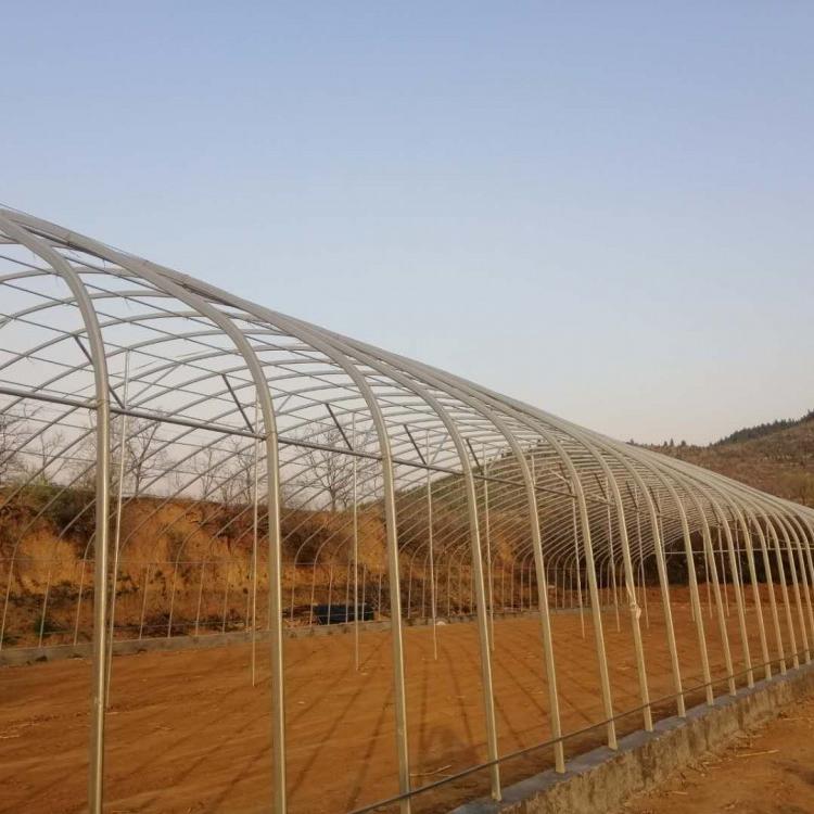 承建高质量的养殖大棚值得信赖