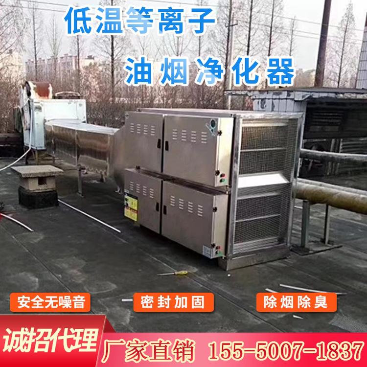 低温等离子油烟净化器 等离子废气净化器 等离子净化器 等离子光氧一体机设备 厂家直销