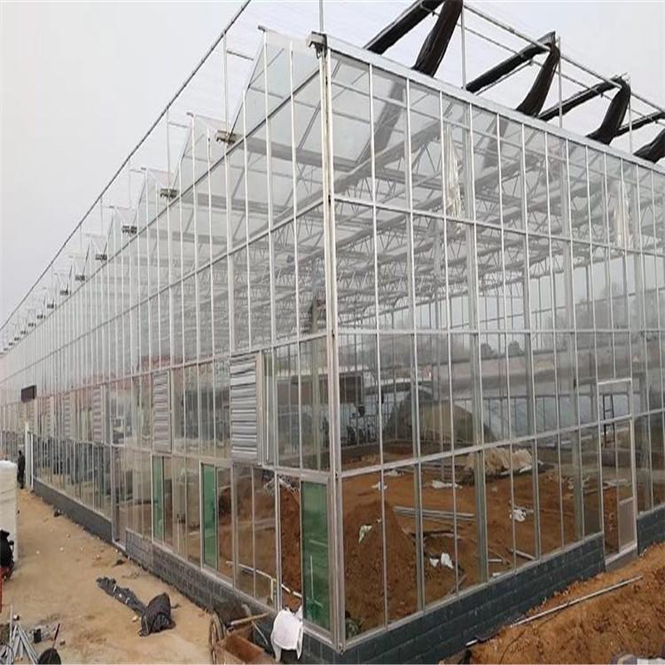 温室大棚厂家定制 温室大棚建设 温室大棚制造