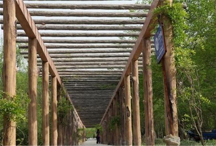四川防腐木花架设计四川防腐木花架安装四川花架定制厂家