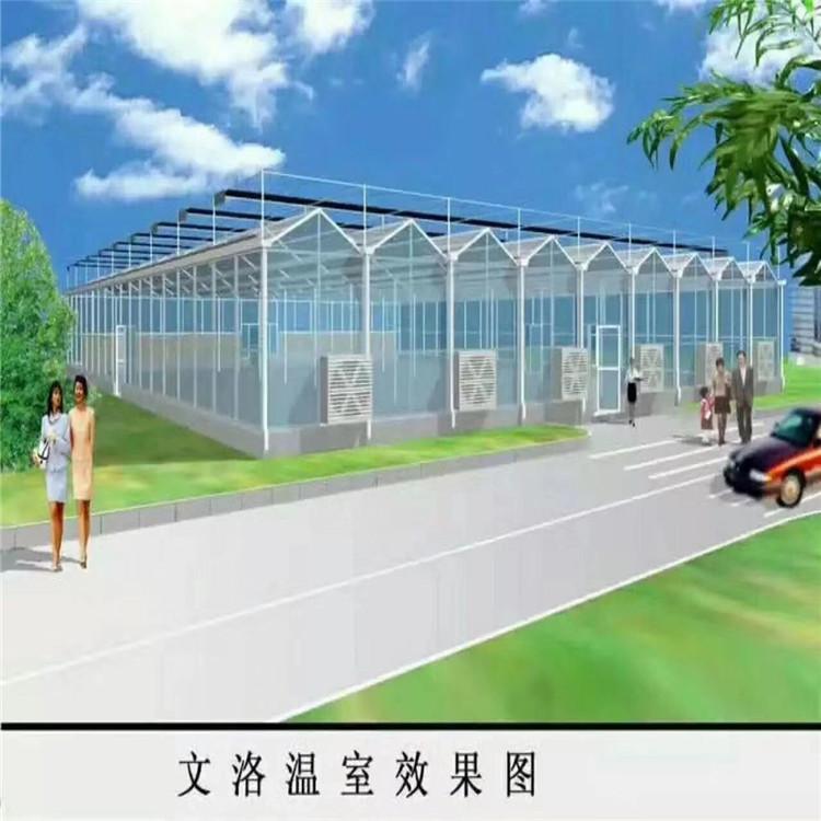 玻璃温室大棚 玻璃温室定制 文洛玻璃温室厂家