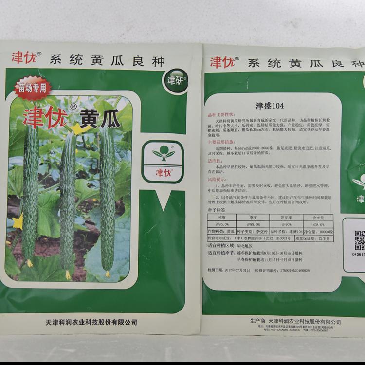 科润种业批发津盛104黄瓜种子   津盛104黄瓜种子 口感好 产量高
