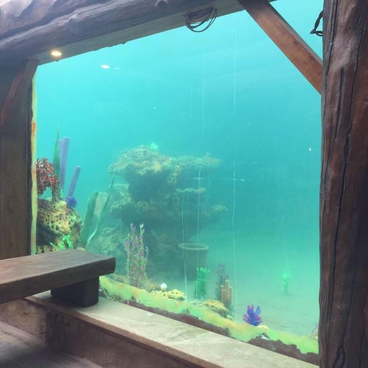 厂家定制大型亚克力鱼缸 大型亚克力鱼缸 亚克力水族箱设计