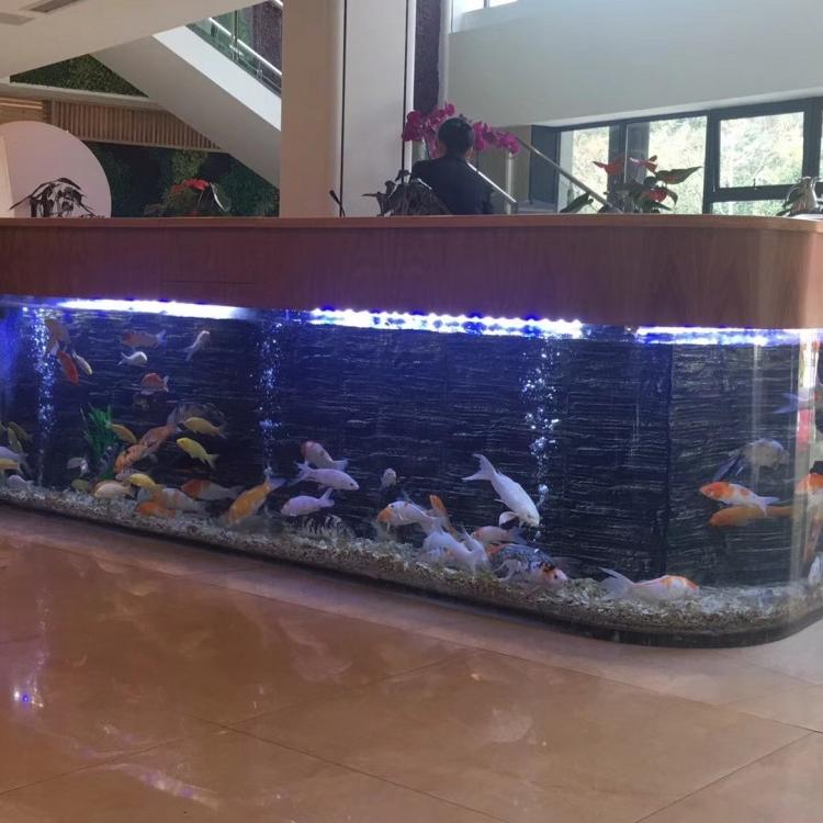 商场亚克力鱼缸展厅设计 定制大型亚克力鱼缸