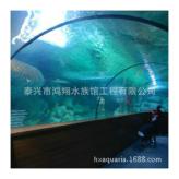 供应美人鱼表演池亚克力隧道 江苏浮潜池 亚克力板