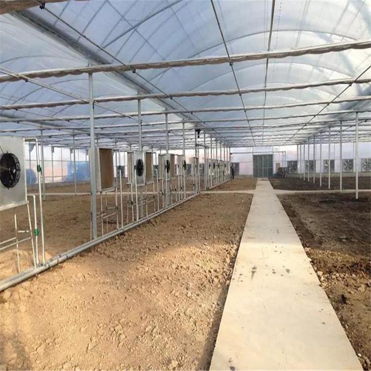 连栋温室建设 寿光连栋温室 薄膜温室报价