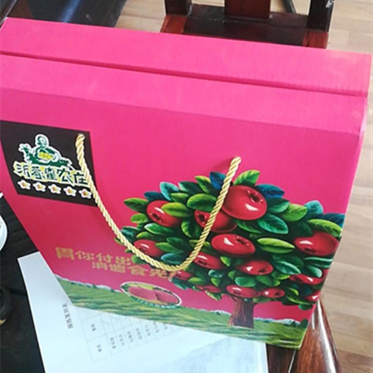 高品质包装装潢印刷品  手提包装礼盒印刷 印刷包装纸箱 批发好价