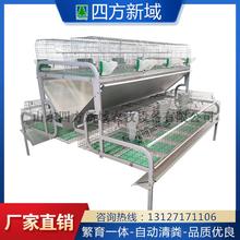 兔笼 后备兔笼  养殖兔笼 厂家直供