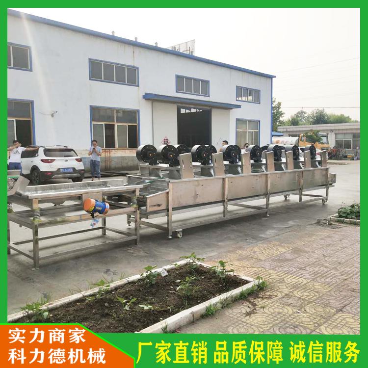 蔬菜清洗风干流水线 全自动翻转式风干机 清洗沥水机 304不锈钢气泡清洗沥水流水线