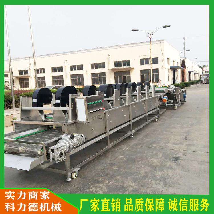 定做翻转式沥水风干机 中药草专用清洗机 食品包装振动沥水机 农作物加工清洗漂烫沥水风干线