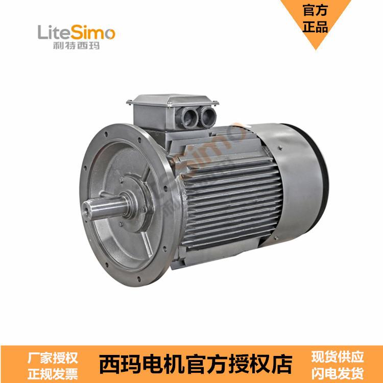 YE3-315L2-6 132KW现货卧式全封闭笼型转子电机泰富西玛
