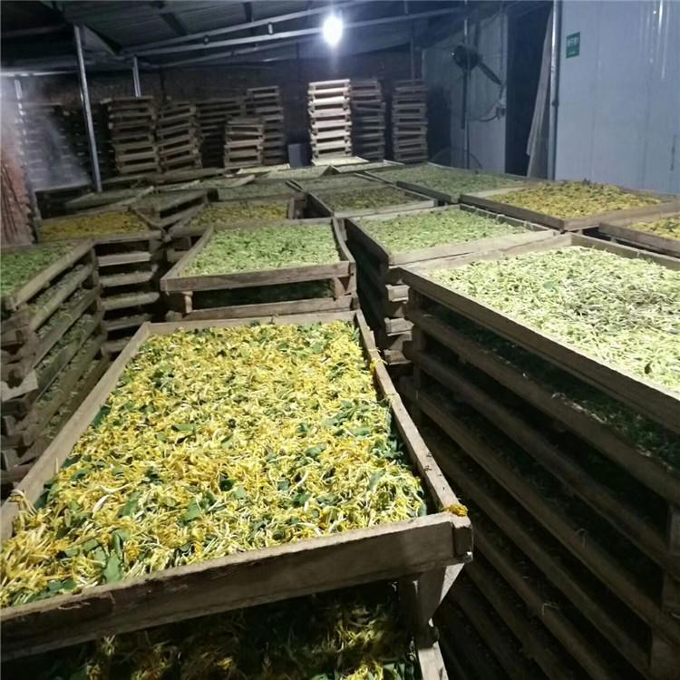 菊花烘干机 烘干机价格 烘干机厂家 空气能热泵烘干机