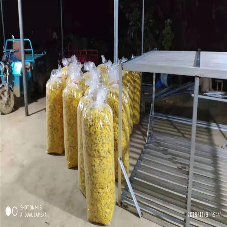 菊花烘干机 金丝皇菊热泵干燥除湿机 胎菊贡菊药材烘干机厂家直销