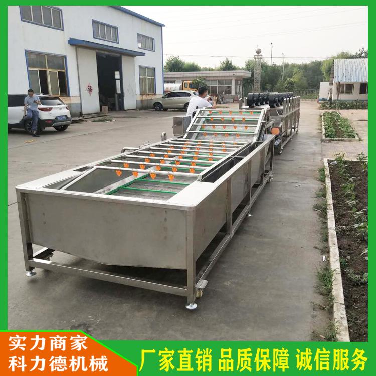 全自动不锈钢蔬菜沥水风干流水线 气泡涡流脱盐机 水果蔬菜清洗风干线 蓝莓漂烫速冻机