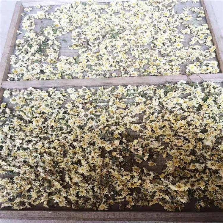 箱式食品烘干机 厂家直销菊花烘干房 中药材烘干设备 菊花烘干箱