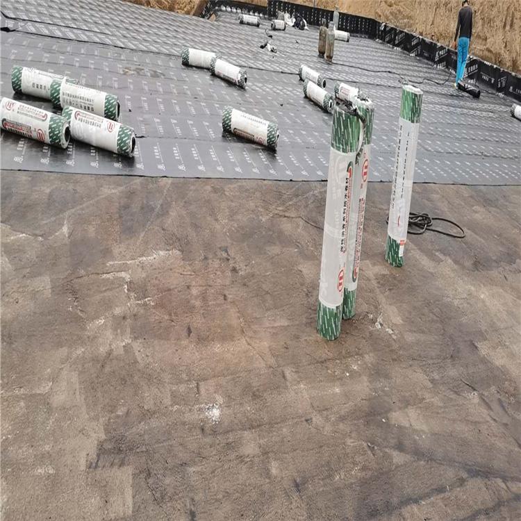 SBS防水卷材 现货供应 弹性体改性沥青防水卷材批发好价