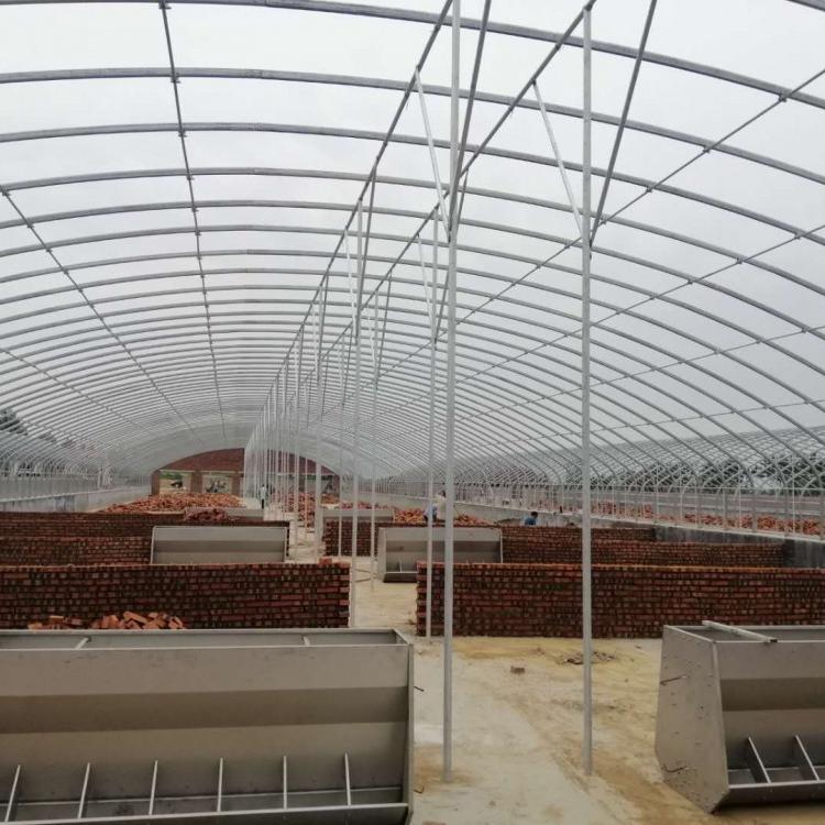 山东温室养殖肉牛大棚厂家直供性价比高值得信赖