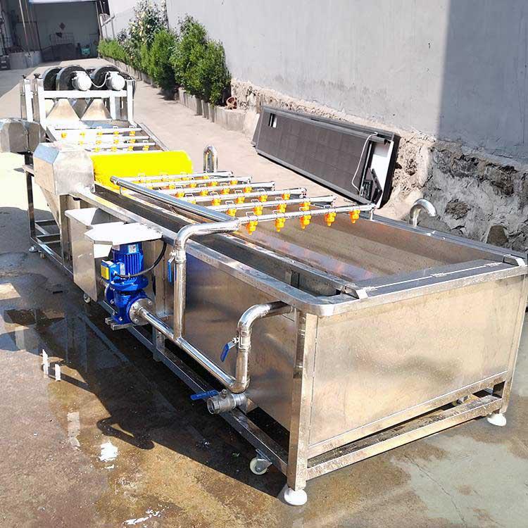 厂家直销果蔬清洗机 大枣气泡清洗机 不锈钢材质