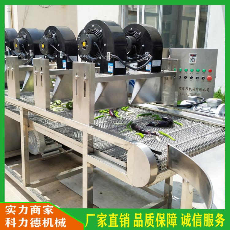 酱料包沥水风干机 休闲食品风干线 蔬菜清洗振动沥水机 包装袋清洗沥水风干流水线