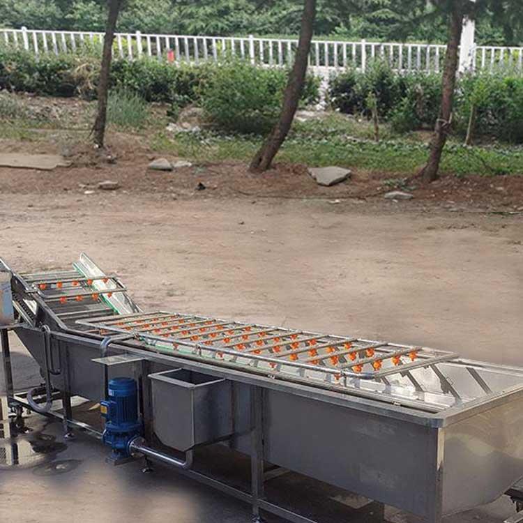 加工定做蔬菜清洗线 气泡清洗机 叶菜清洗机价格 果蔬清洗机