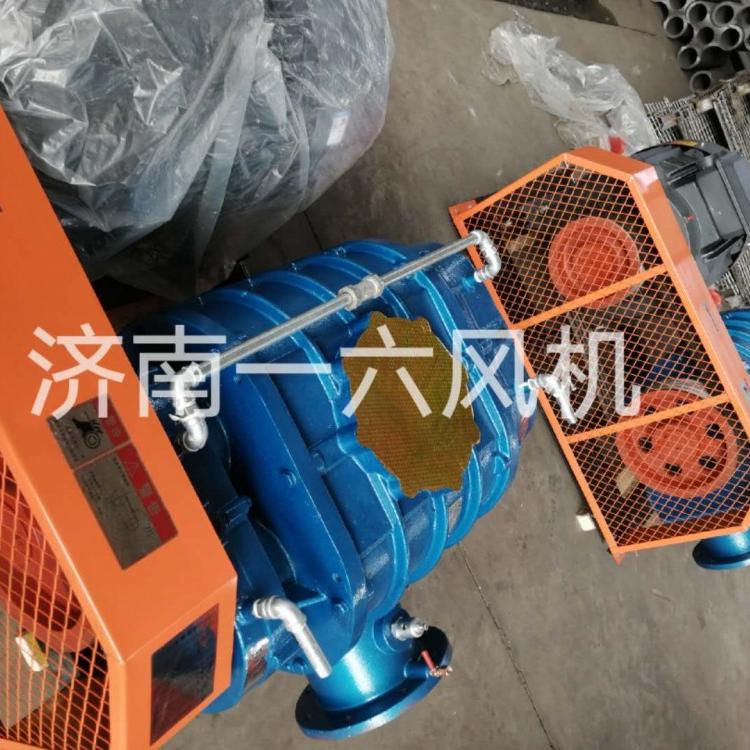 高压双油箱专用罗茨风机气力输送专用罗茨鼓风机电厂用罗茨鼓风机厂家