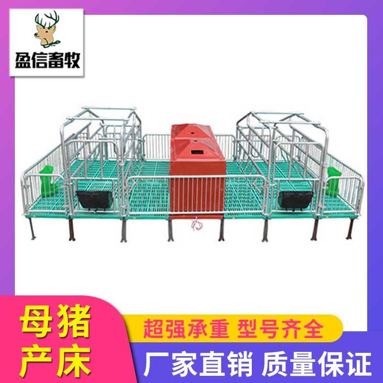 盈信畜牧 猪用产床母猪产床 养猪设备母猪产床 母猪产床限位栏 厂家直销 供应优良  全复合母猪产床 母猪分娩栏 母猪复合产床 热镀锌单体母猪分娩床