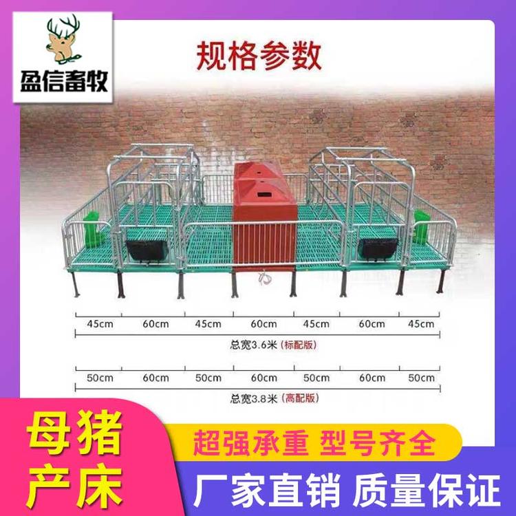 盈信畜牧 供应优良  全复合母猪产床 母猪分娩栏 母猪复合产床 产保一体双体产床 母猪分娩床 厂家直销定制生产母猪产床 养猪设备母猪产床 母猪产床限位栏 厂家直销