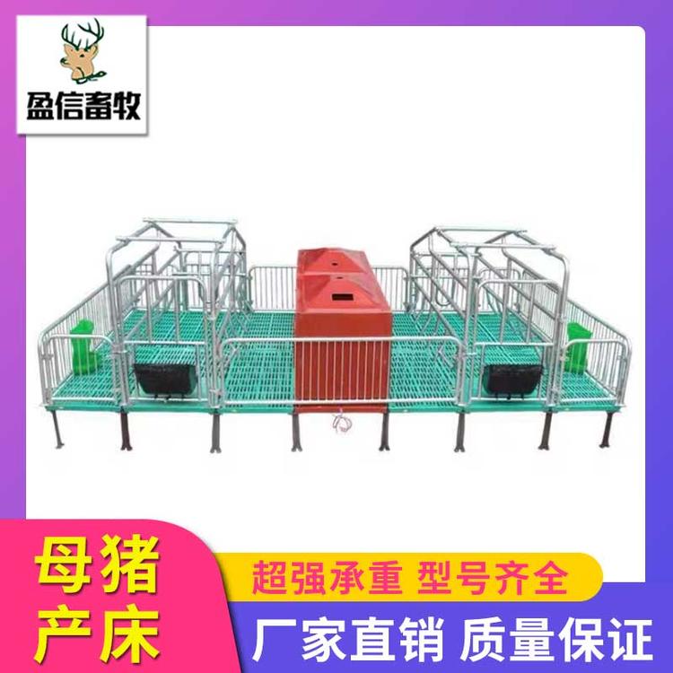 盈信畜牧 供应优良 厂家直销 全复合母猪产床 母猪分娩栏 母猪复合产床 产保一体双体产床 母猪分娩床厂家直销养猪设备 母猪产床